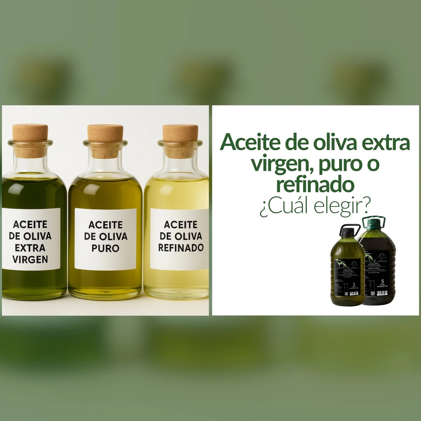 🫒 ¿Aceite de oliva extra virgen, puro o refinado? Descubre cuál elegir