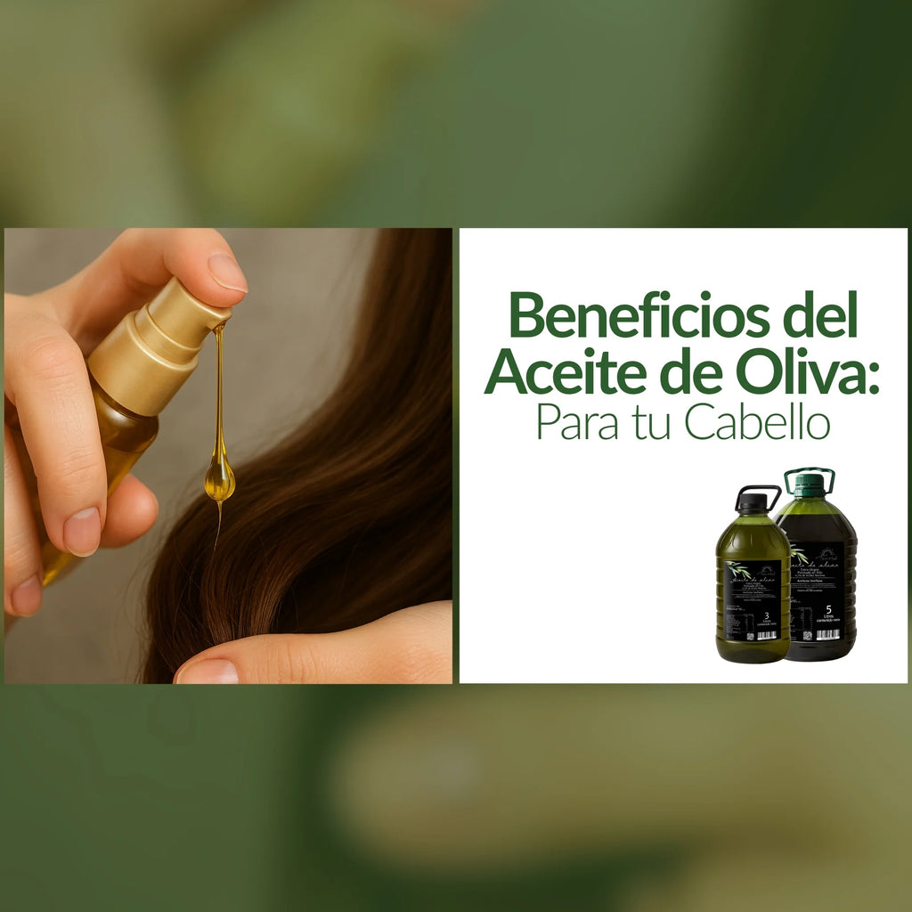 Beneficios del aceite de oliva Terrasol para tu cabello