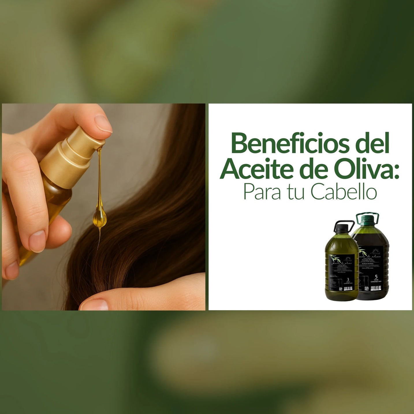 Beneficios del aceite de oliva Terrasol para tu cabello
