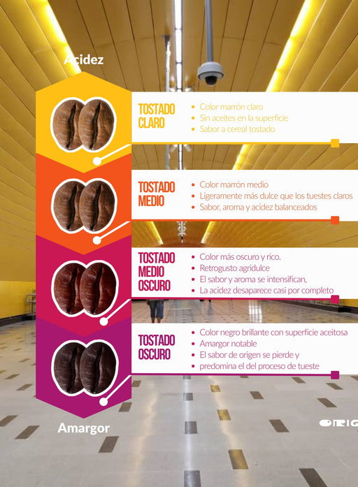 Café De Especialidad en Grano