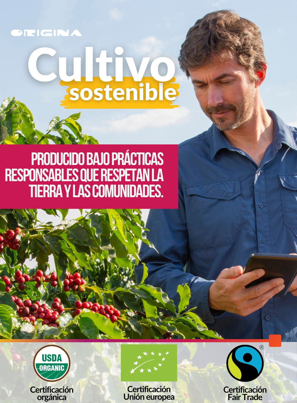 Café De Especialidad en Grano