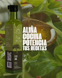 Aceite de Oliva 500ml Terrasol