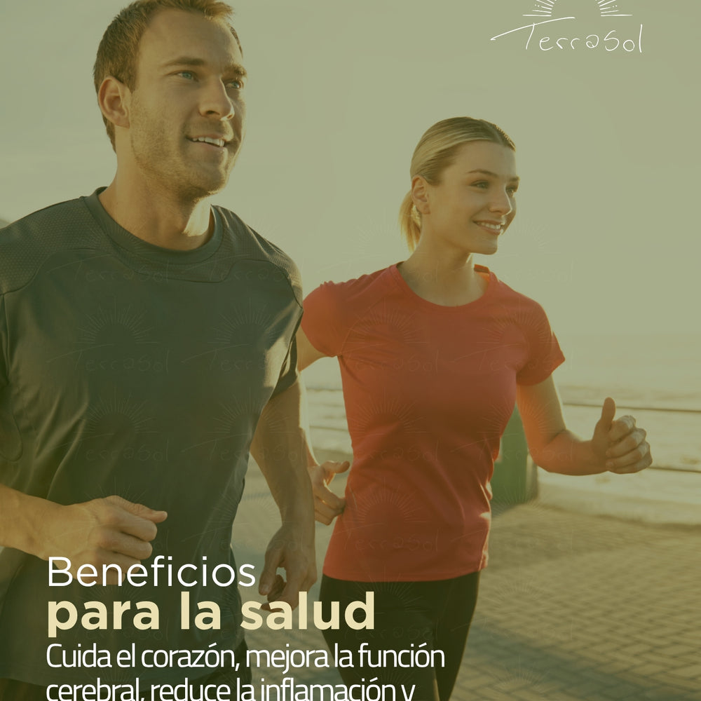 Aceite de Oliva 5 Litros