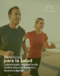 Aceite de Oliva 5 Litros