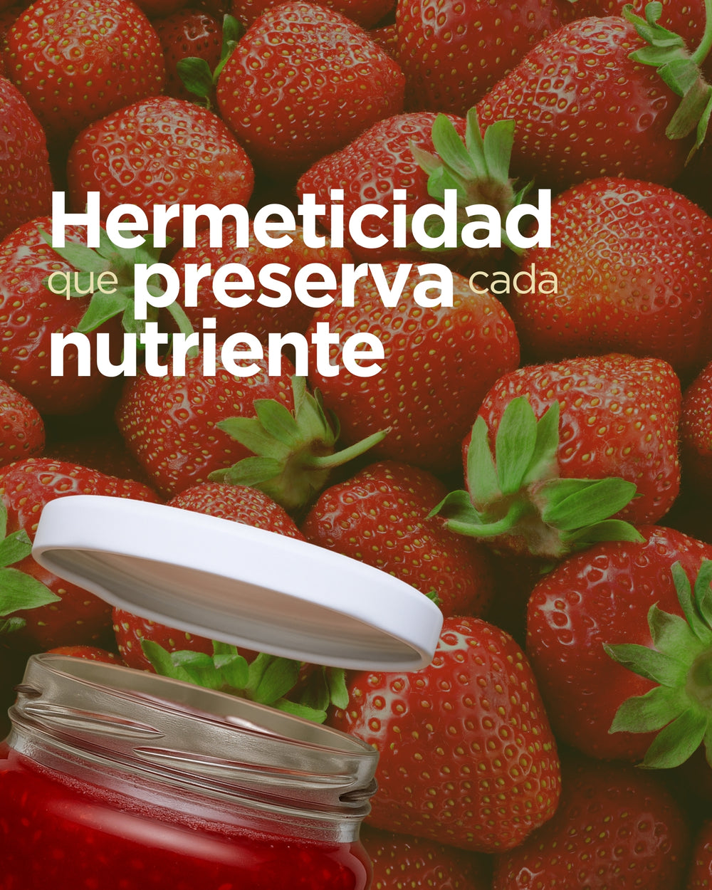 Kit Conservero Gourmet - 12 Frascos de Vidrio 460cc