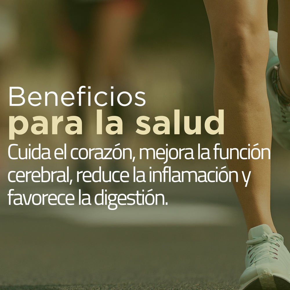 Aceite de Oliva 500ml Terrasol