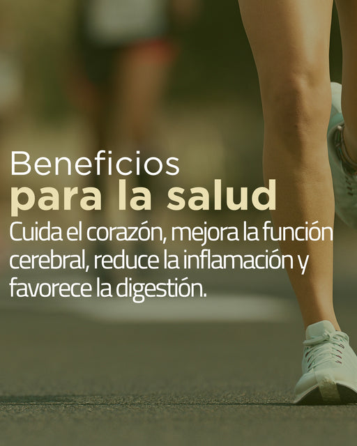 Aceite de Oliva 500ml Terrasol